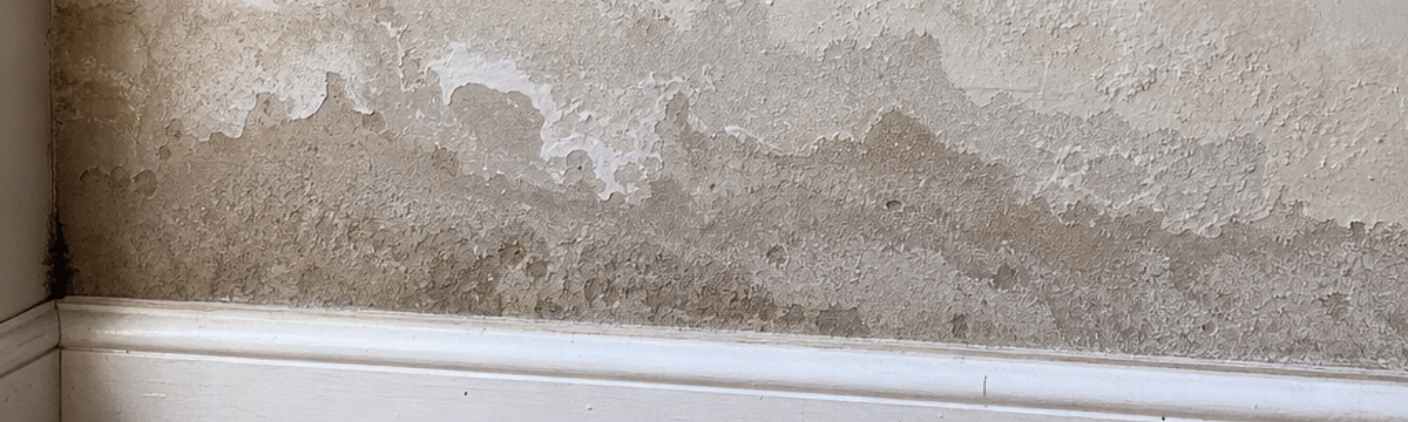 Rising Damp