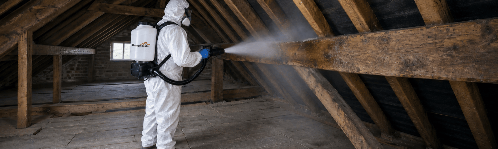 Wet Rot Treatment