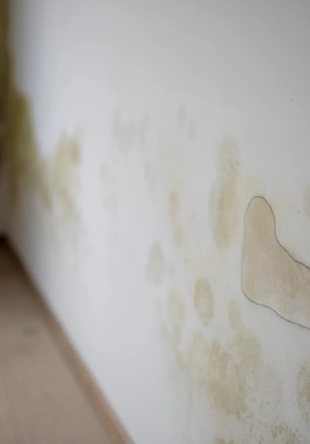 strong-mildew-large-stains-is-located-white-interior-wall-apartment strong-mildew-large-stains-is-located-white-interior-wall-apartment